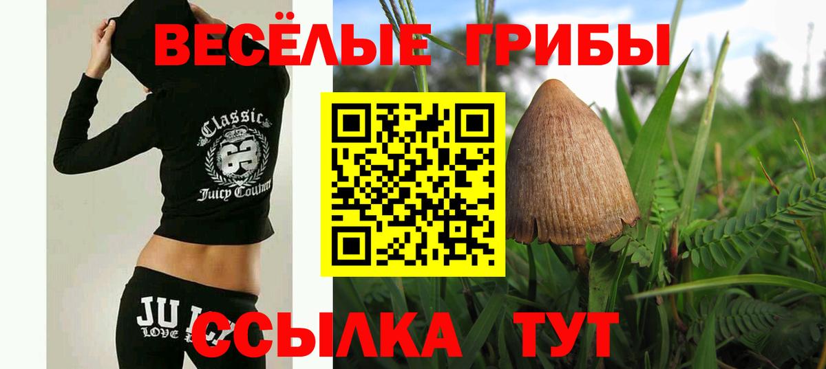 Ликино-Дулёво  Псилоцибиновые грибы MAGIC MUSHROOMS  Вход с VPN 